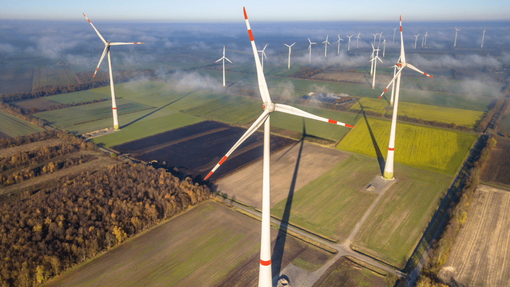 Regional MS calls for investigation over Gilfach Goch wind turbine