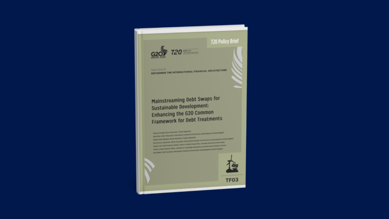 Mainstreaming Debt Swaps for Sustainable Development: Enhancing the G20 Common Framework for Debt Treatments